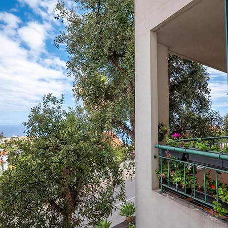 The Balcony 174, By Op *